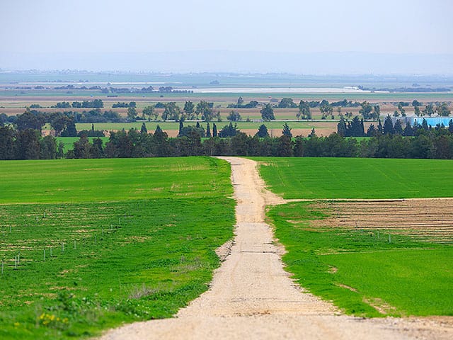 Civil Administration designates 170 dunams in Gush Etzion as state property