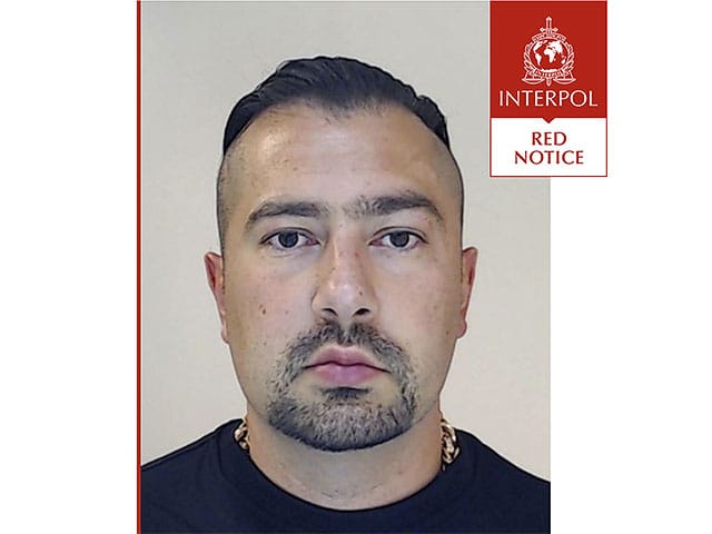 Mossad: 'Kurdish Fox' recruited by Iran to plan terror attacks on Israelis in Europe