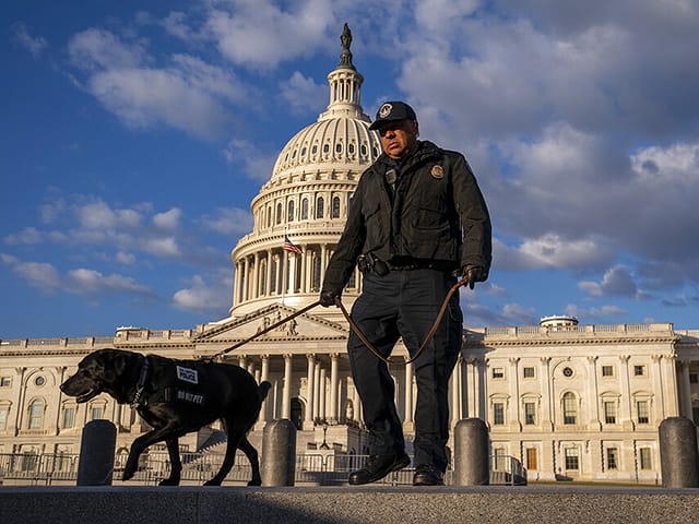 Iranian intelligence allegedly plans assassination of Donald Trump: Politico Report