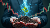 Best Trading Platforms for bonds (2026): Safe Top Picks