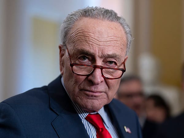 Senator Chuck Schumer calls for new elections in Israel: 'Netanyahu has lost his way'