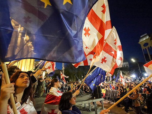 Protests in Tbilisi over 'Foreign Agents' law, deputy Aleko Elisashvili arrested